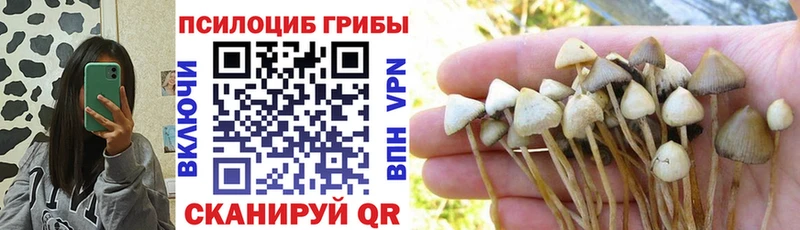 даркнет сайт  Кувшиново  Галлюциногенные грибы мухоморы 